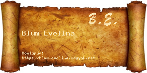 Blum Evelina névjegykártya
